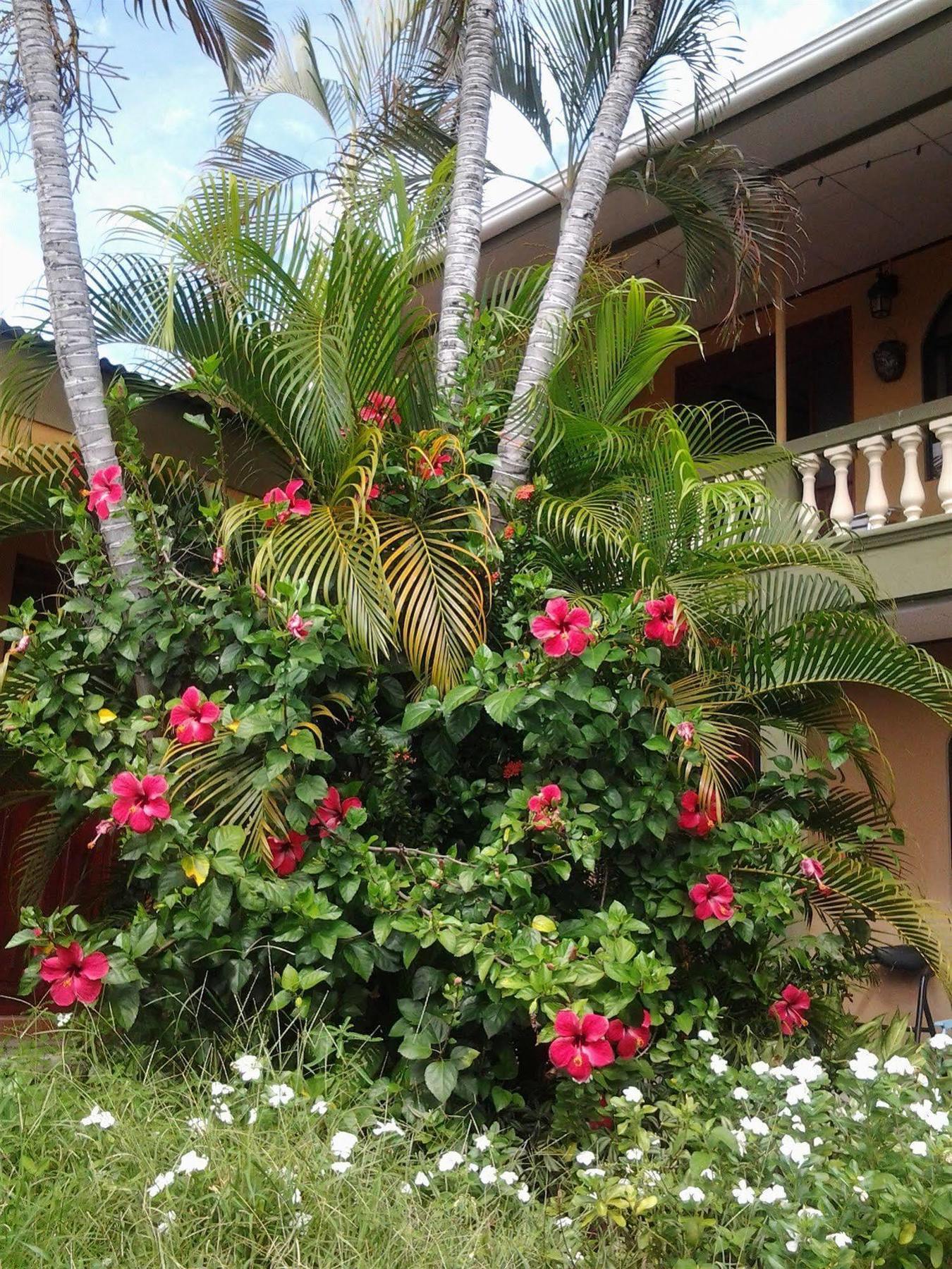 Cabinas Madeleine Puntarenas Exterior foto